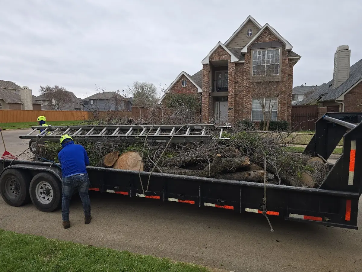 Expert Crown Reduction with proper safety equipment in Springport